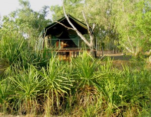 Mornington Safari Tent Accommodation