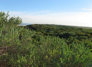 Minyirr Park, Broome