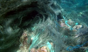 Ghostnet at Rowley Shoals
