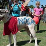 Even the dogs don't want the gas hub