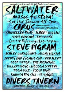 2015 Salt Water Music Festival