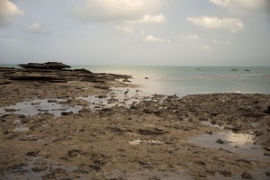 Reef Egrets enjoying the low tide-Broome Jetty Beach