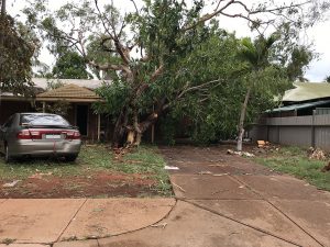 Tree smashes into car port, Chippindall Place, Broome
