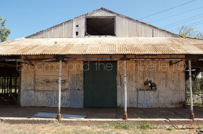 Pearlers  pearl shell sorting shed
