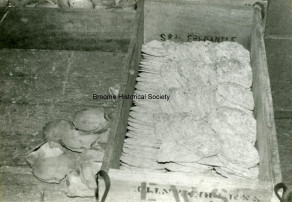 Pearl Shell Packing Crate